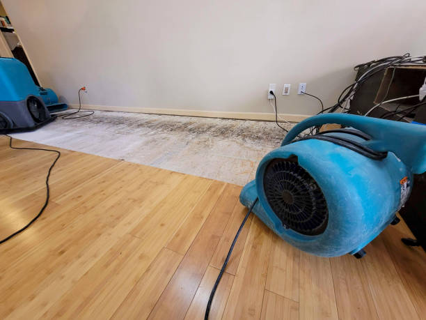 Professional Water Damage Repair technician working in Meadville, PA